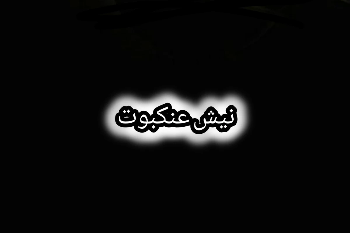 عکس نیش عنکبوت