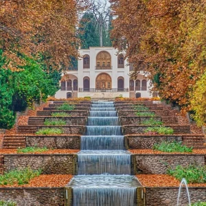 کاور