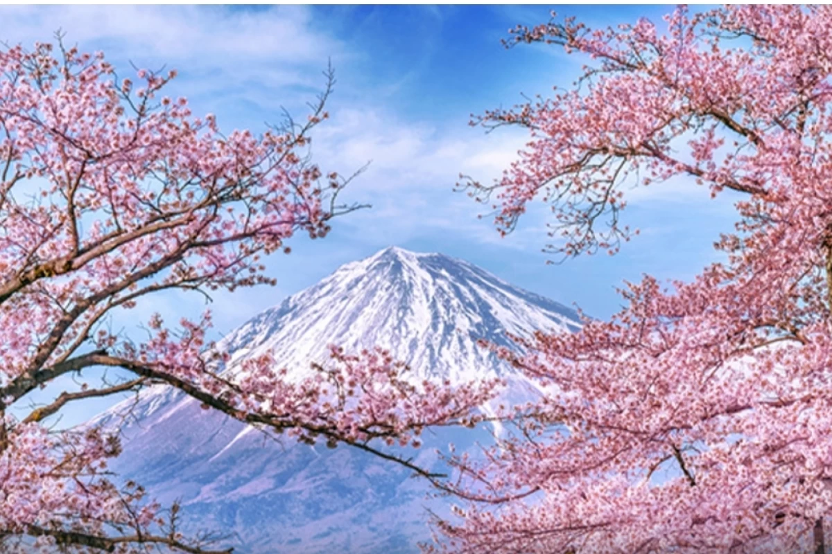 عکس 💮 اعداد یک تا نه به ژاپنی💮