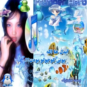 کاور