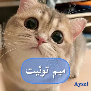 کاور