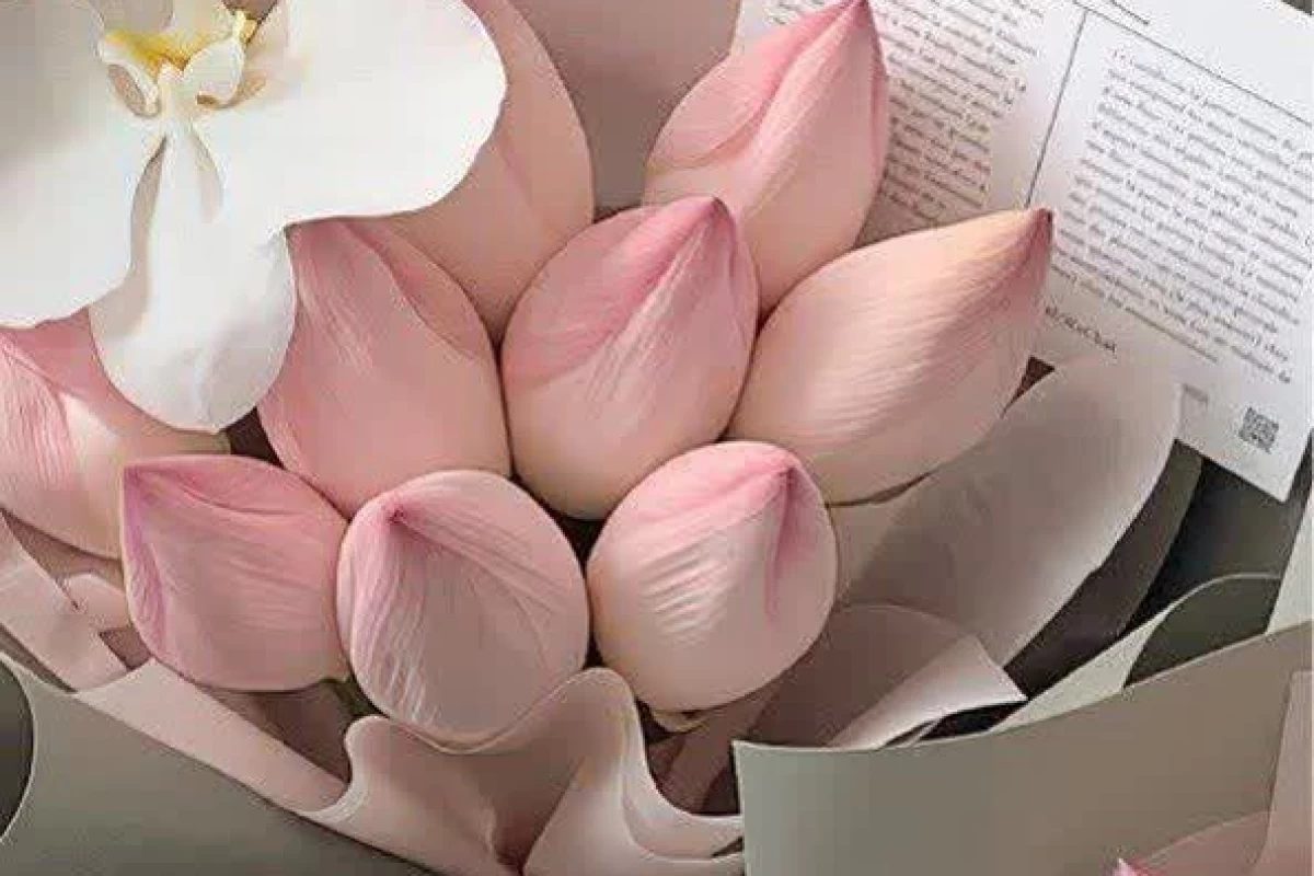 عکس اصالت ایران رو از کجا پیدا کنیم