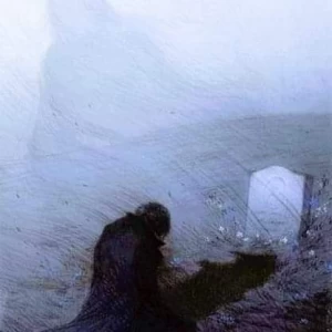 کاور