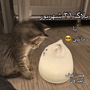 کاور
