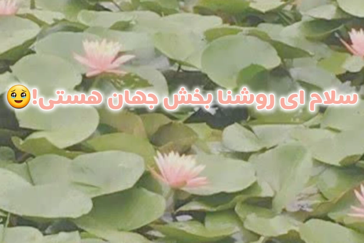 عکس 🧚🏻‍♀️ : ولی این کاربر های فرشته، به اندازه ی کافی دیده نشدن!