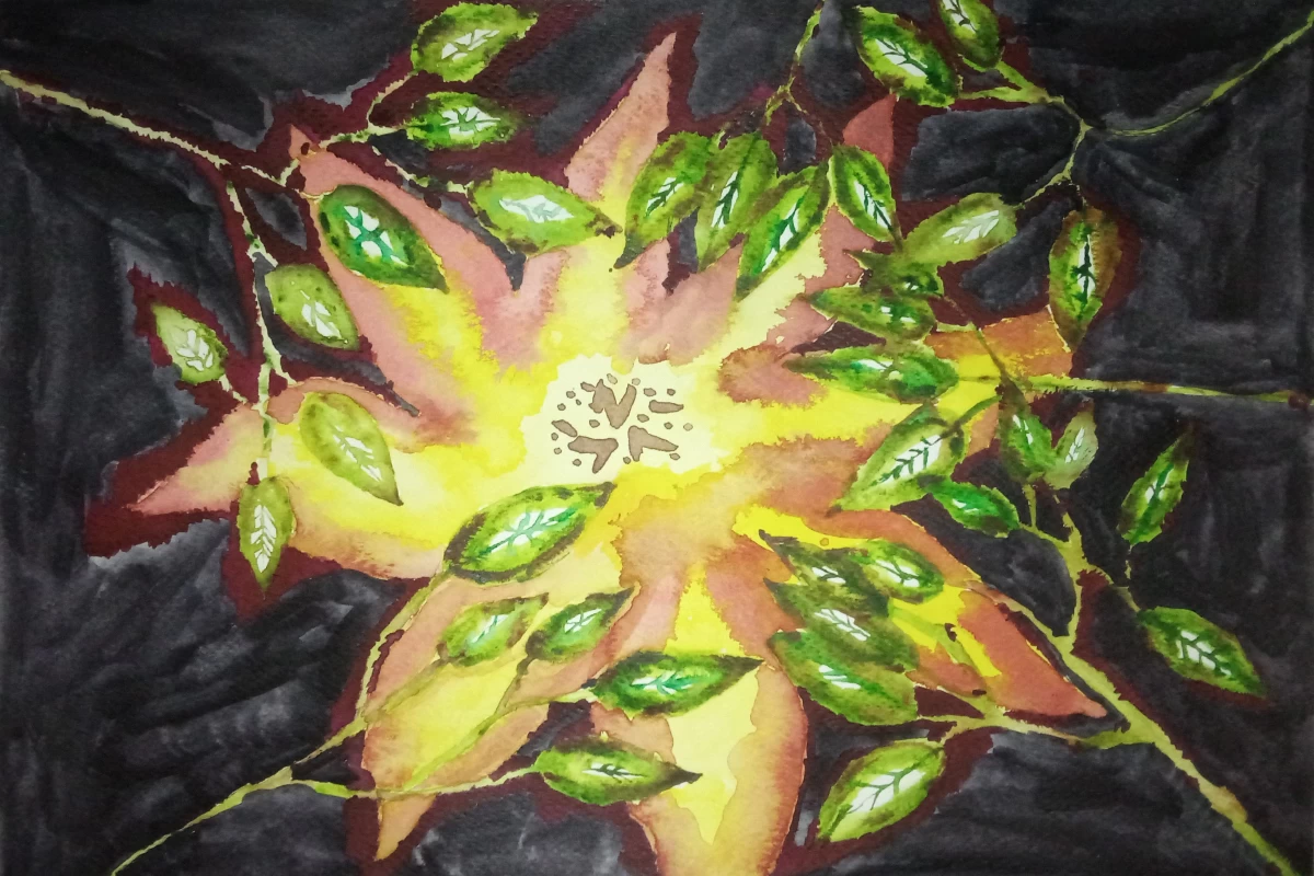 عکس کارای ابرنگم ۲