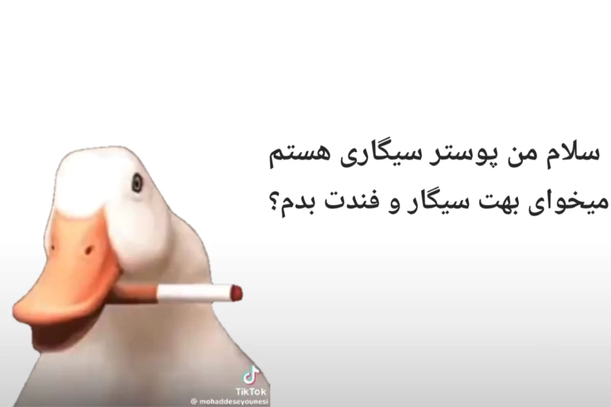 عکس میخوای بدونی بنده کی هست؟