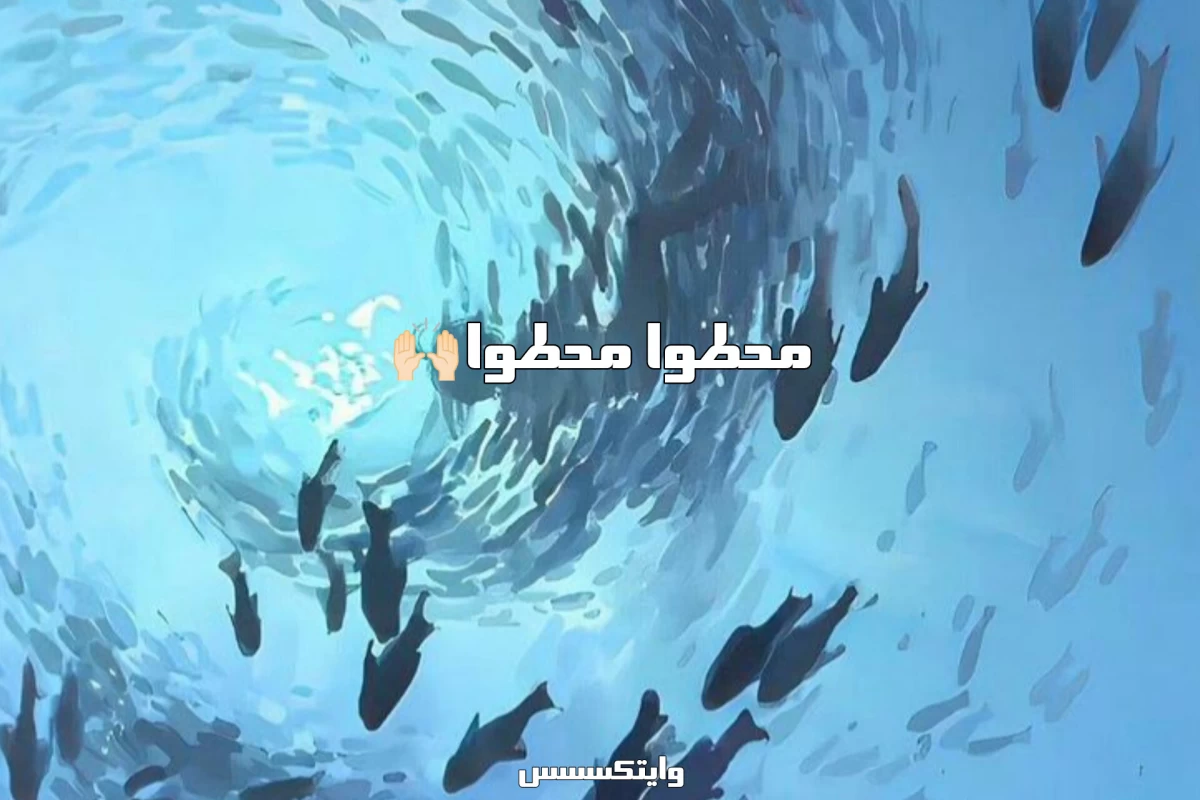عکس Box to Box | جزوه نویسی برای هر درس مجزا