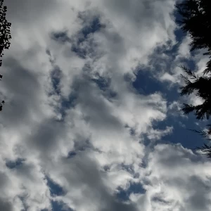 عکس بیوگرافی morfin:)