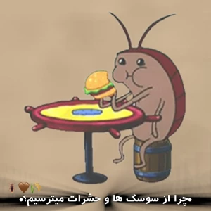 عکس •چرا از سوسک ها و حشرات میترسیم؟•