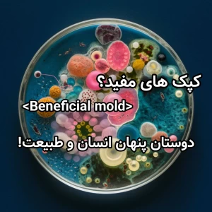 کاور