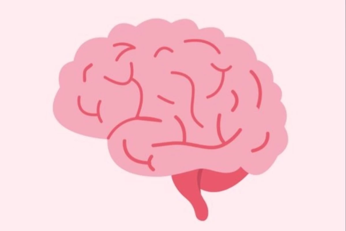 عکس آیا مغز ما واقعا آزادانه تصمیم میگیرد؟