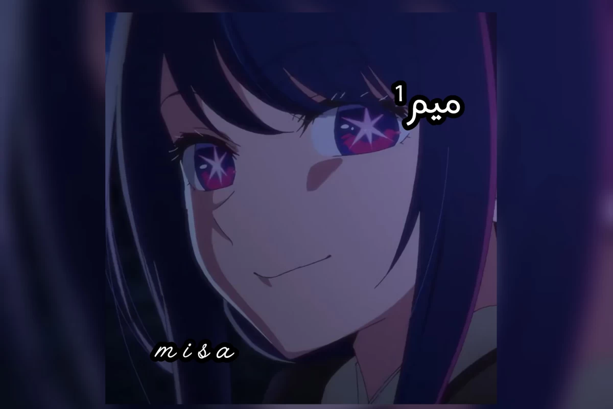 عکس میم¹