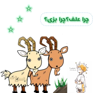 کاور
