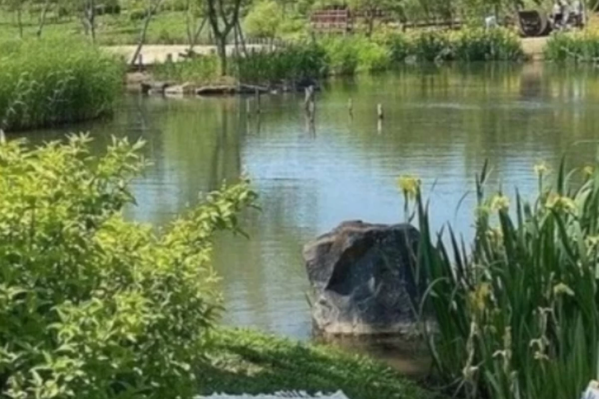 عکس 5 فرهنگ مراقبت از طبیعت که باید آموخت