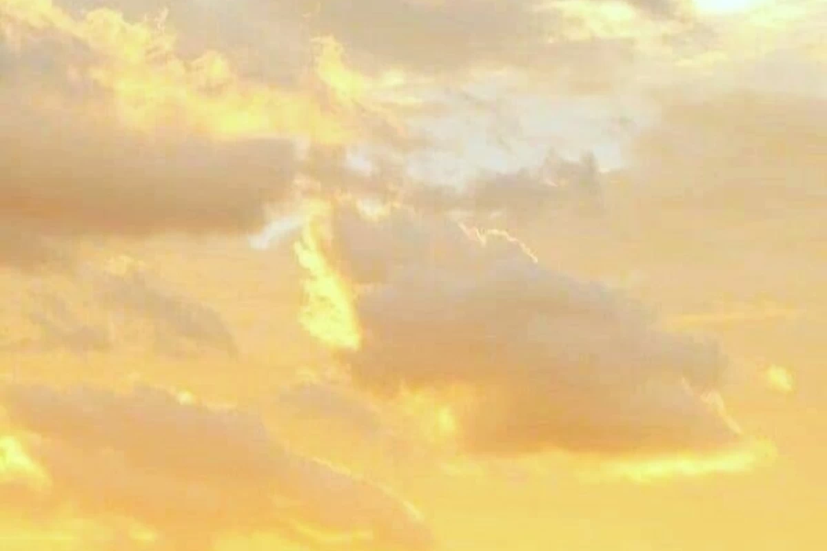 عکس 𝑽𝒆𝒍𝒊𝒏𓍯