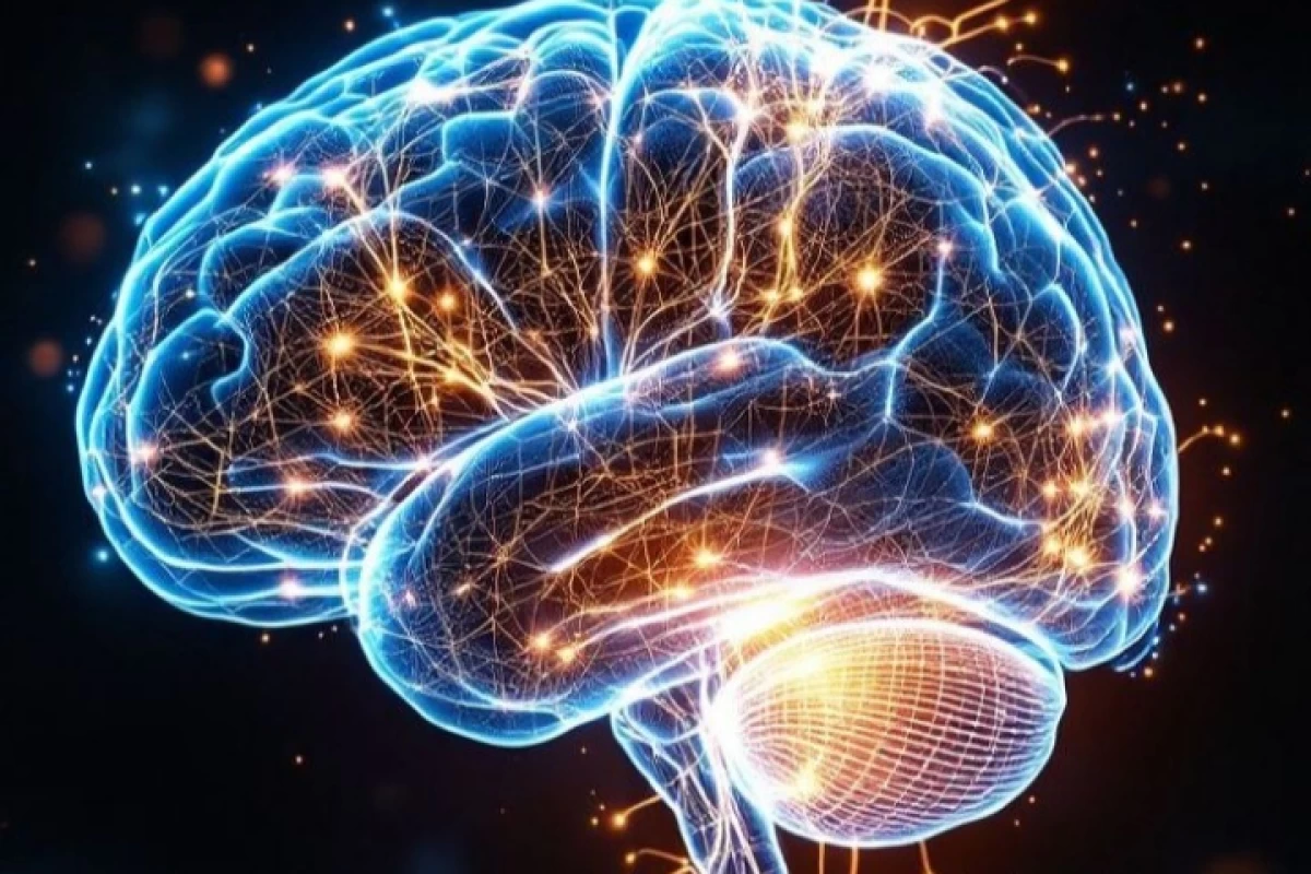 عکس چرا بعضی‌ها سریع‌تر یاد می‌گیرند؟