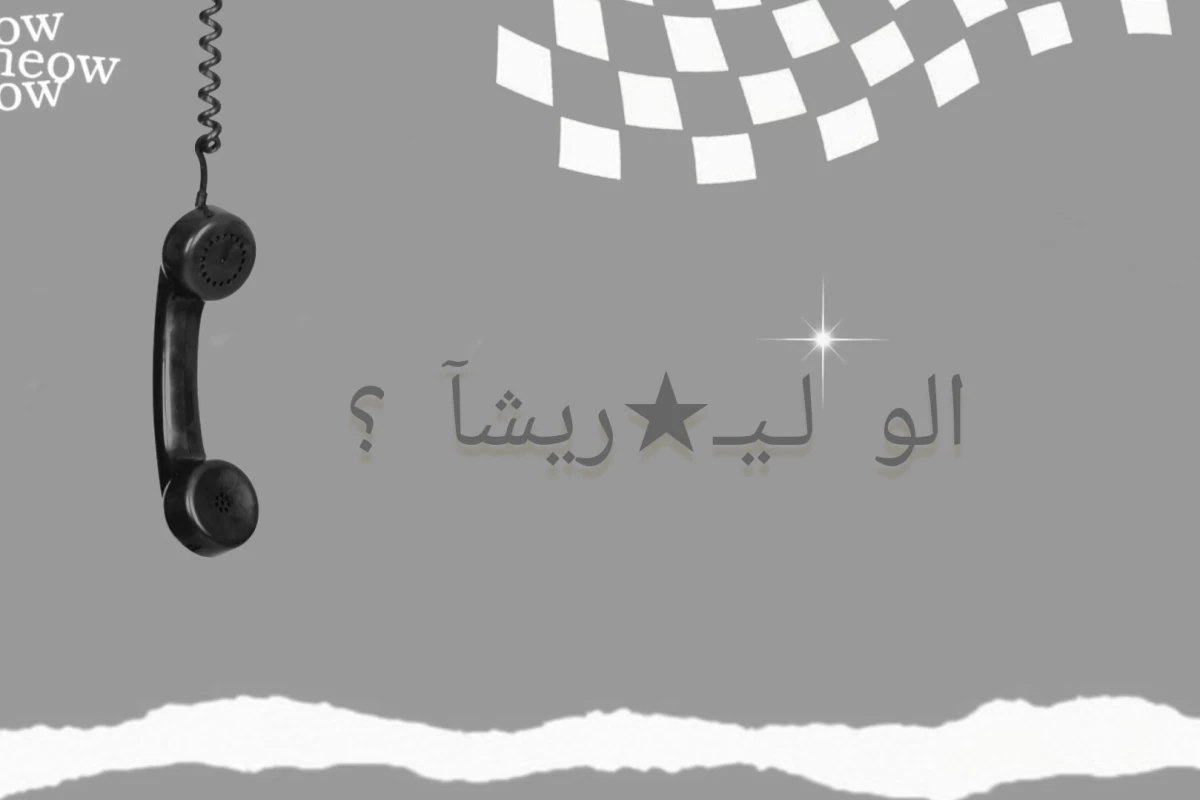 عکس عجایب سوئد؟!