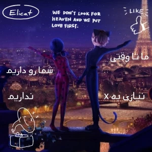 کاور