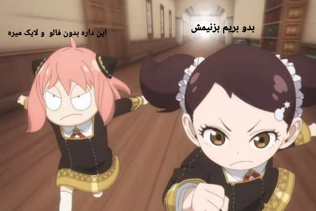 عکس در تابستان ۱۴۰۴چه گذشت؟
