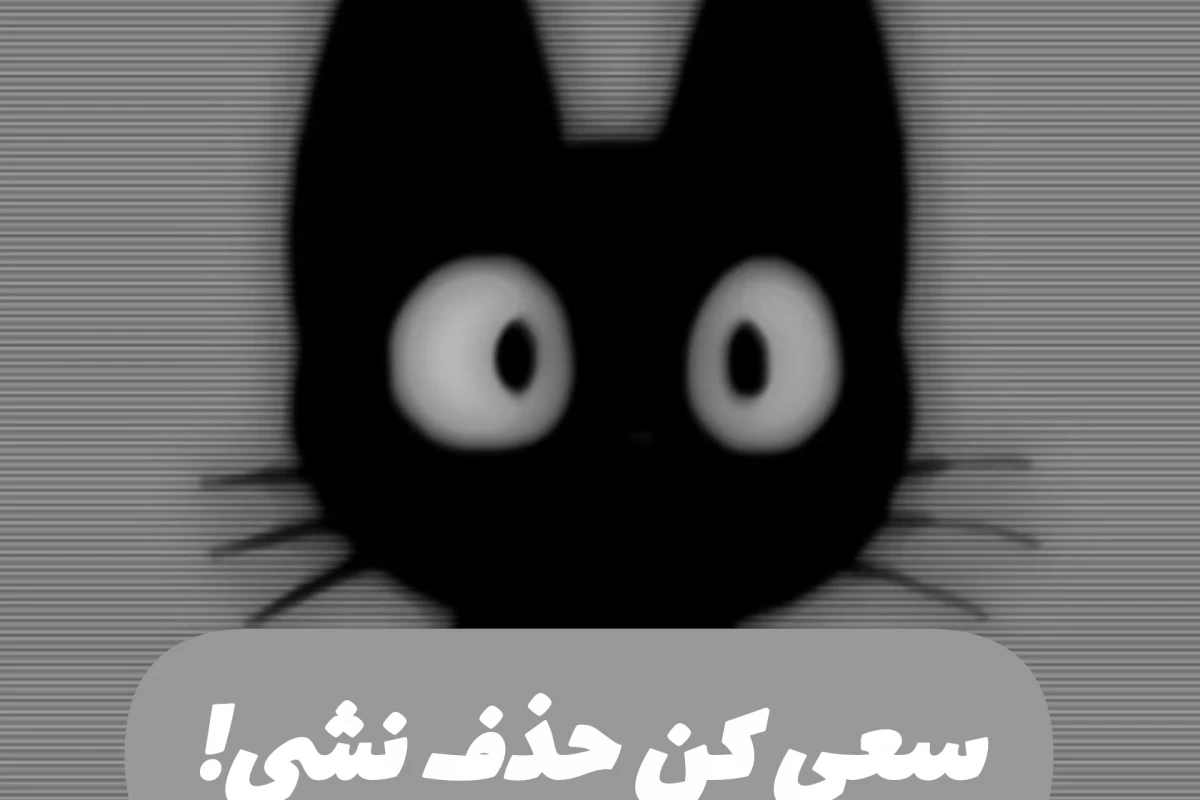 عکس سعی کن حذف نشی!³