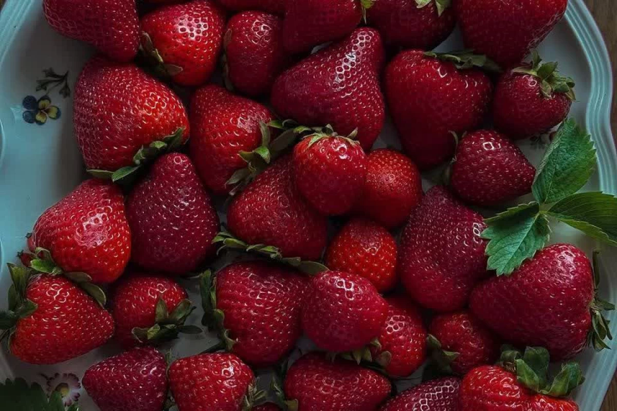 عکس به تستچی عادت کردی!