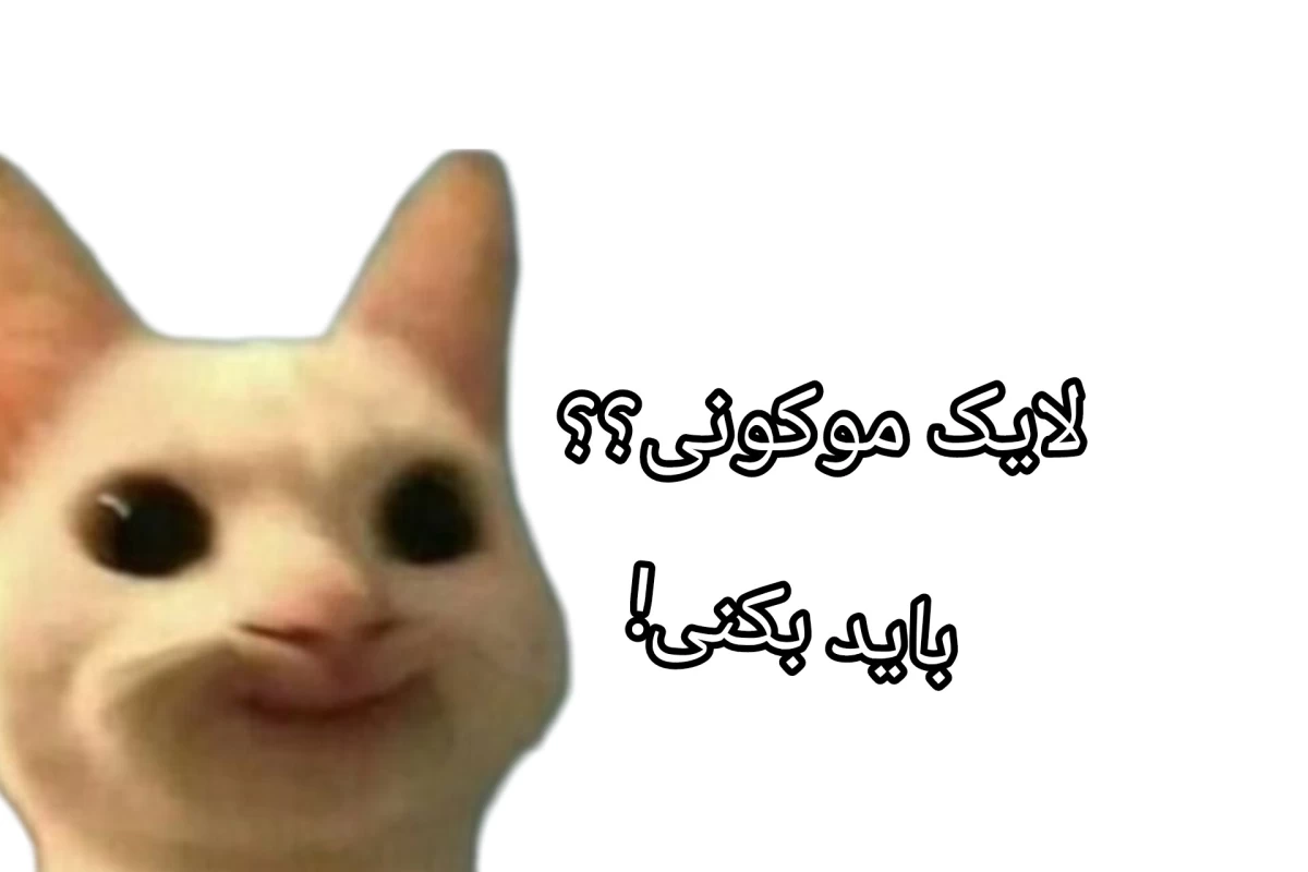 عکس نمی تونم تسلیم بشم چون ...
