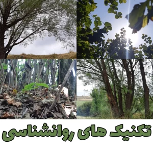 کاور
