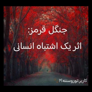 کاور