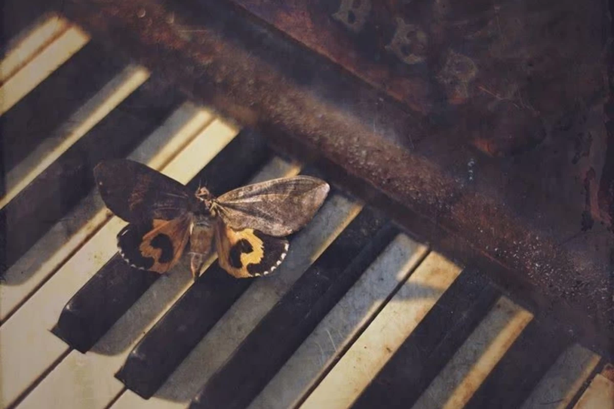 عکس کتاب های پیانو؟