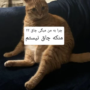 کاور