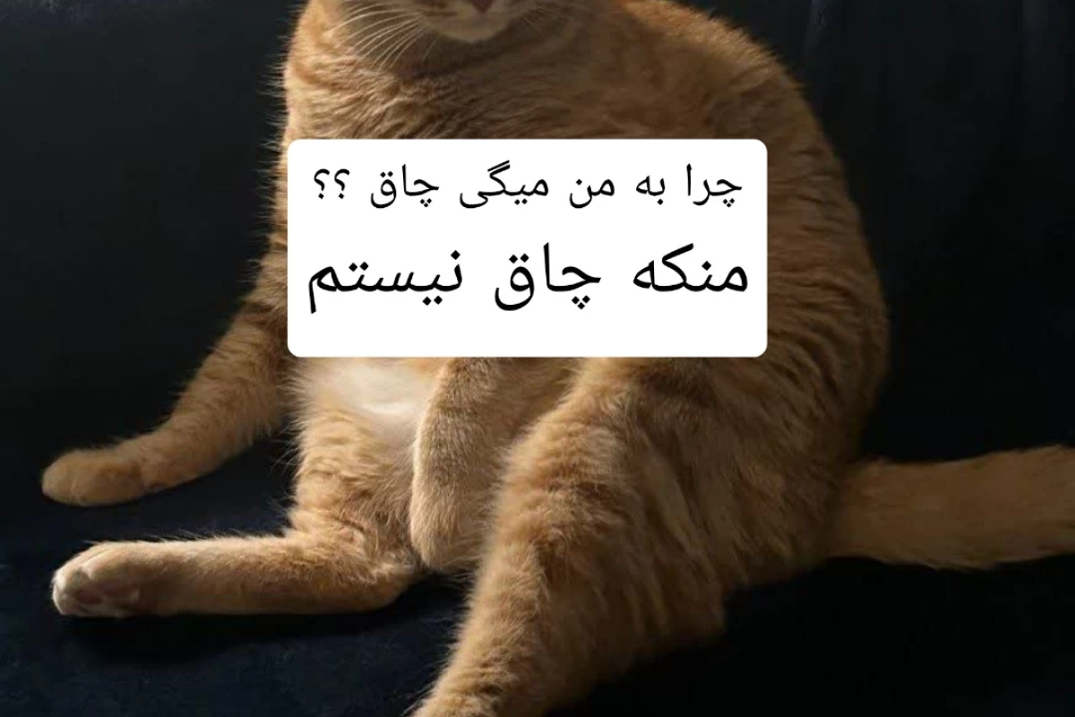 عکس خنده دار ترین ها اینجاست