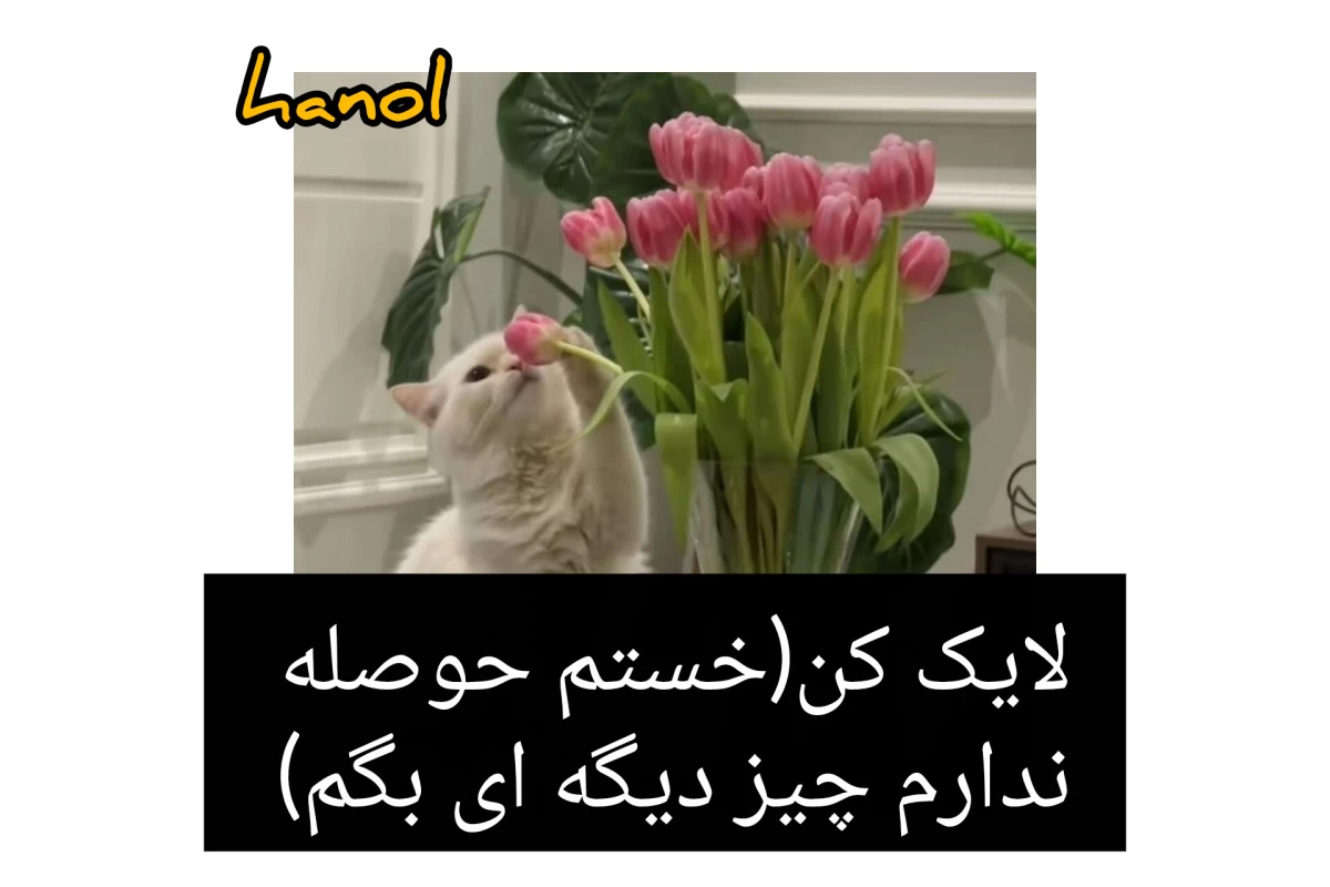 عکس الکی لیبل نزن!✓
