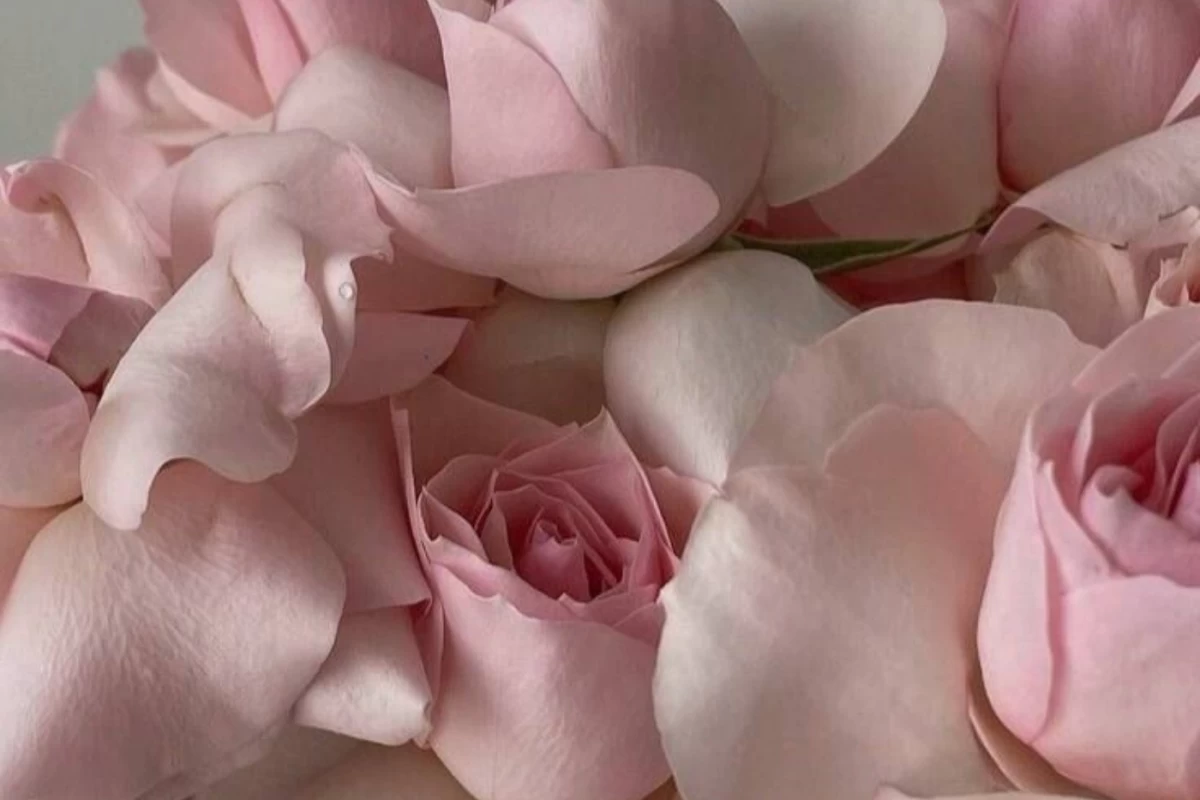 عکس بیاین اسکرانچی بدوزیم🎀