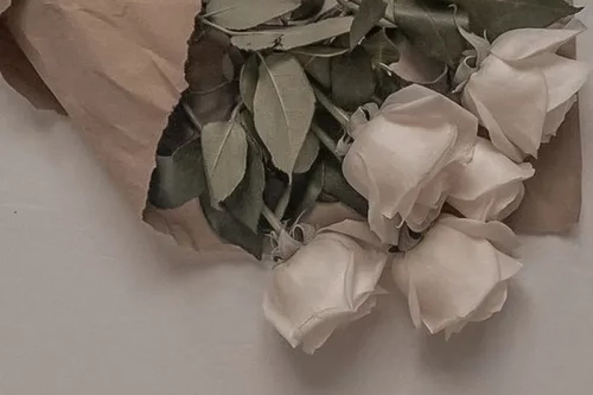 عکس یکم ایده پاییزی