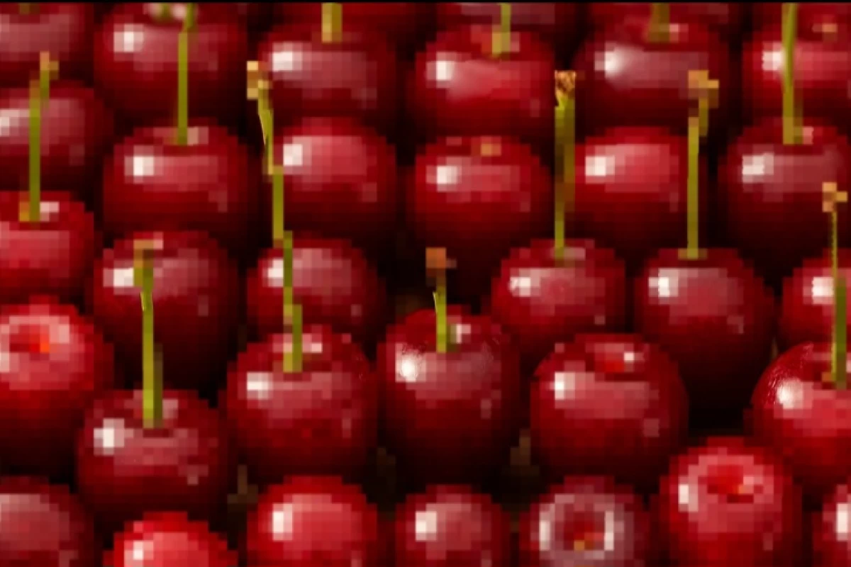 عکس اصطلاح زیر درخت آلبالو گم شدن از کجا اومده؟