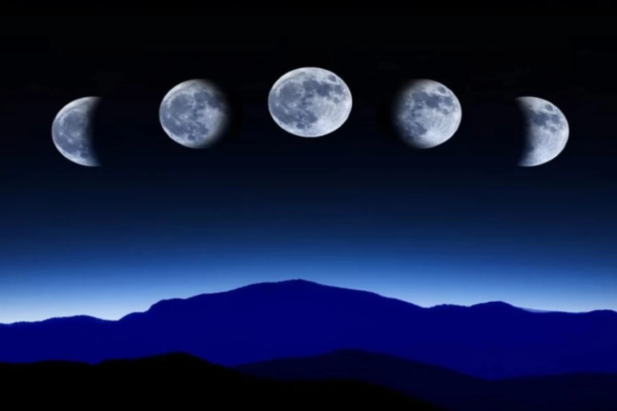 عکس از انسان تا ستاره