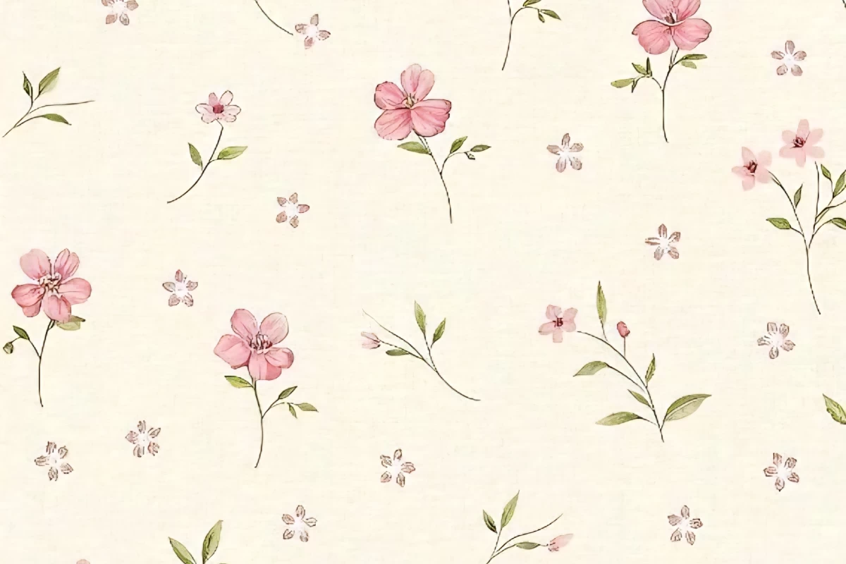 عکس بیوگرافی؟