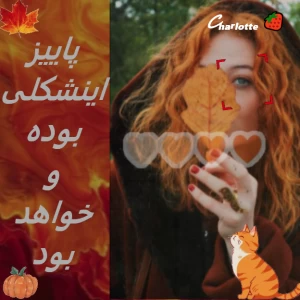 کاور