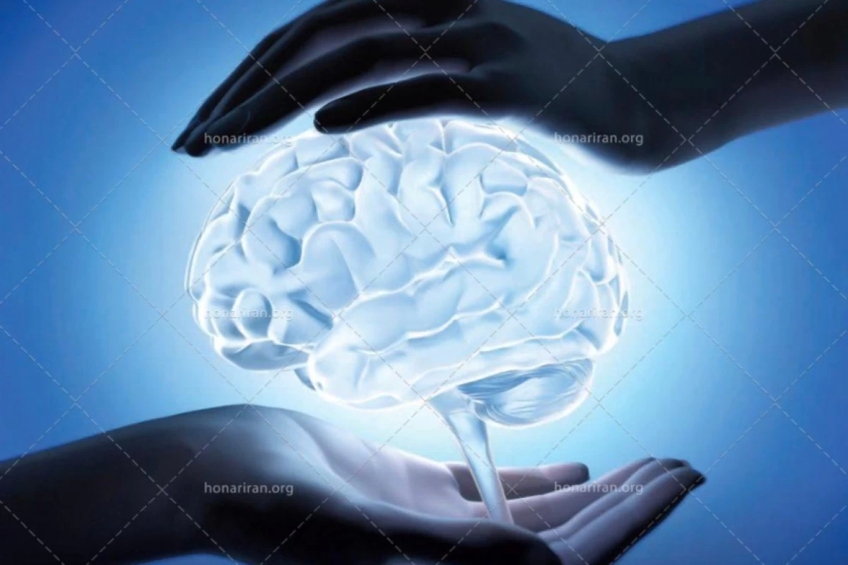 عکس چرا مغز برخی خاطرات را فراموش می‌کند؟