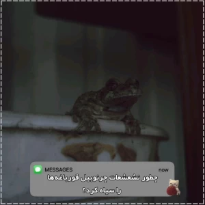 کاور