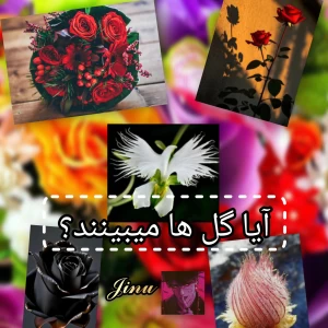 کاور