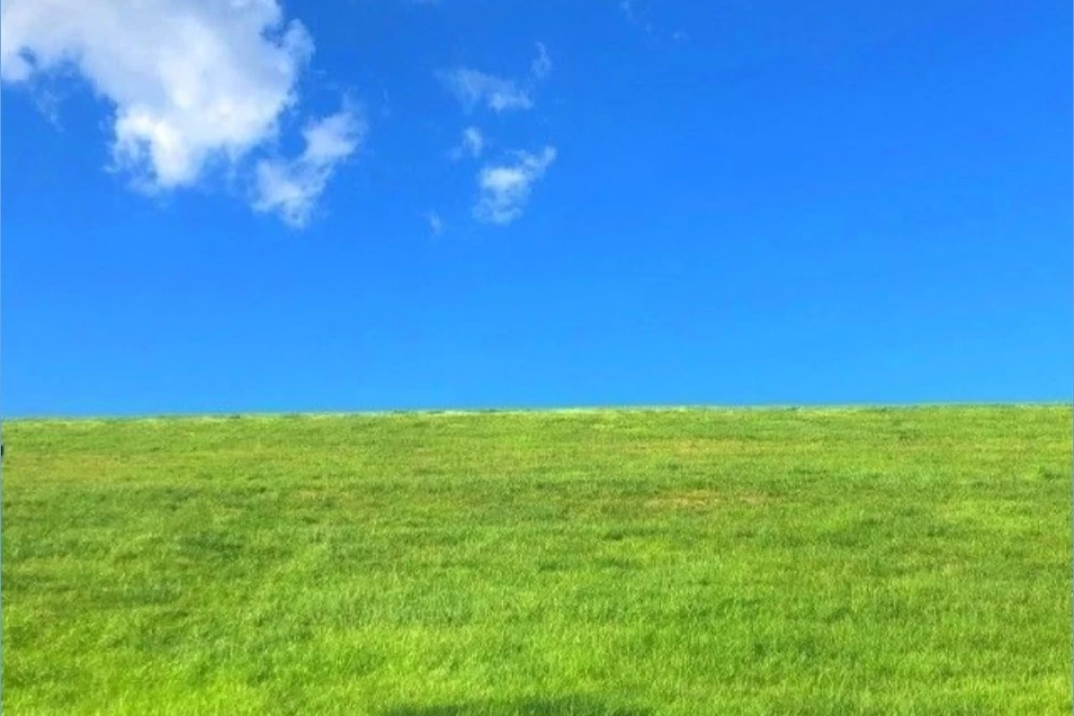 عکس دهن...... ببند