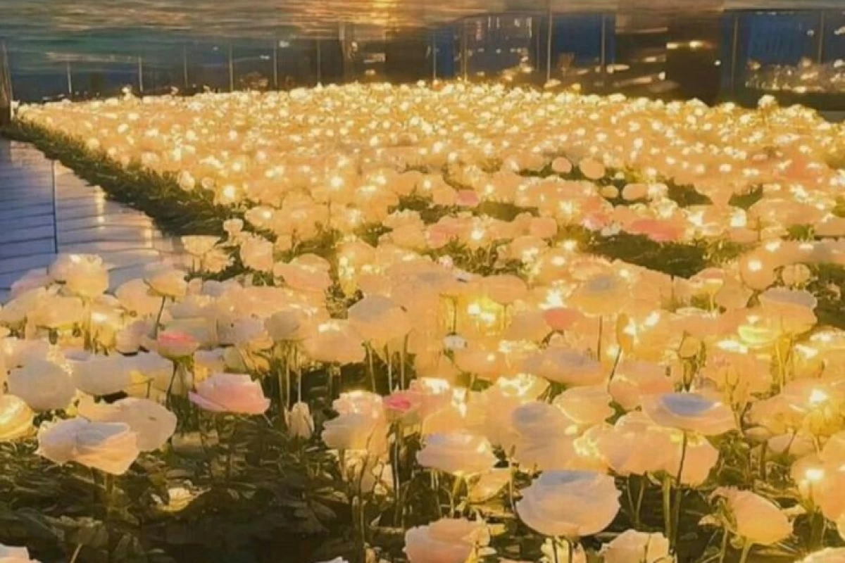 عکس تولید برق در ژاپن