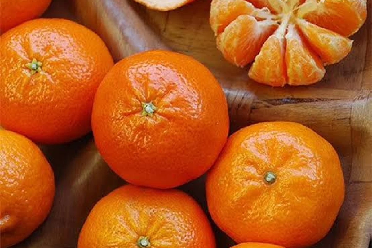 عکس نارنگی معجزه‌ای نارنجی برای روزهای سرد سال!