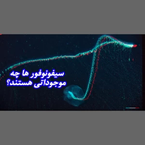کاور