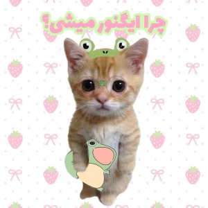 کاور