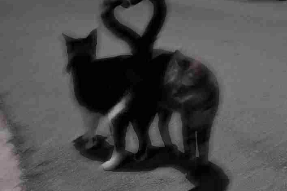 عکس من کیم؟؟؟؟؟؟