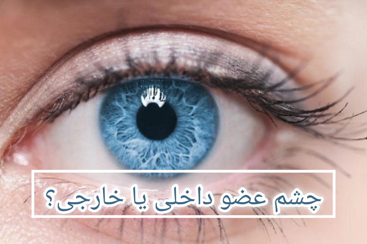 عکس چشم عضو خارجی یا داخلی؟