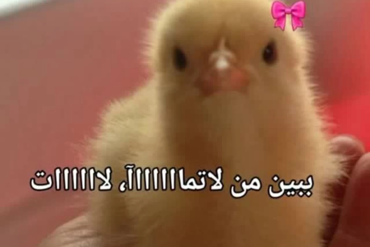 عکس زیباترین پیرسینگ ها برای دخترا